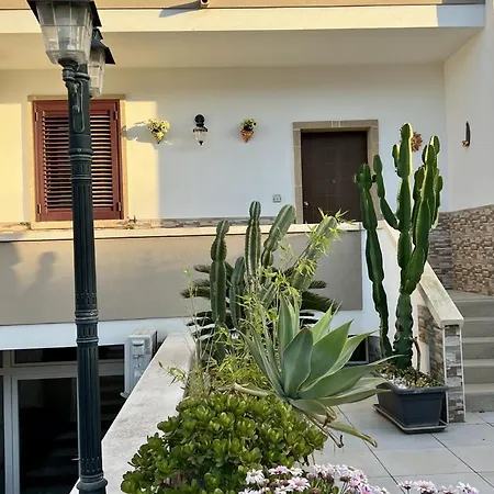 Girasole
